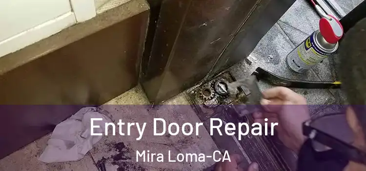  Entry Door Repair Mira Loma-CA
